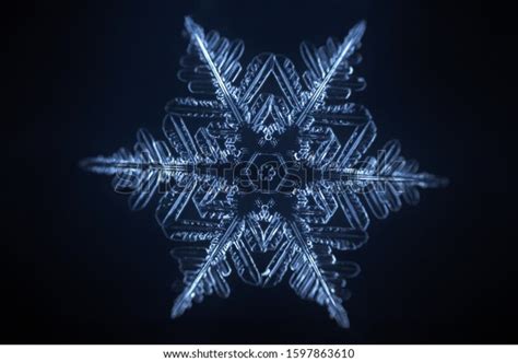 Real Snowflake Microscope Shot Stock Photo 1597863610 Shutterstock