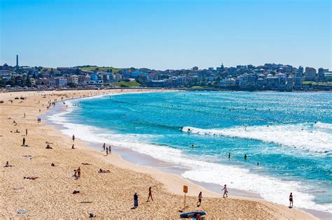 10 best beaches in sydney which sydney beach is right for you go guides