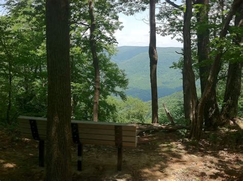 Bench At An Outlook Over The Youghiogheny River Gorge At The Far Point