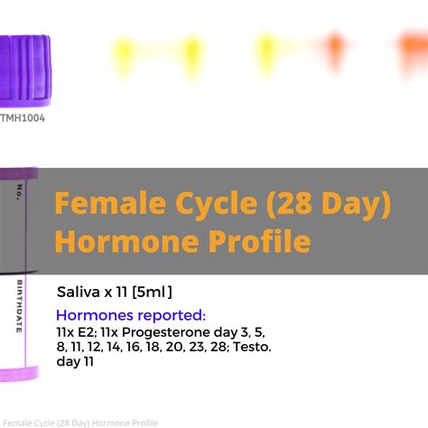 Female Hormone Cycle