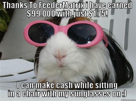 Money Hamster New Glasses Quickmeme