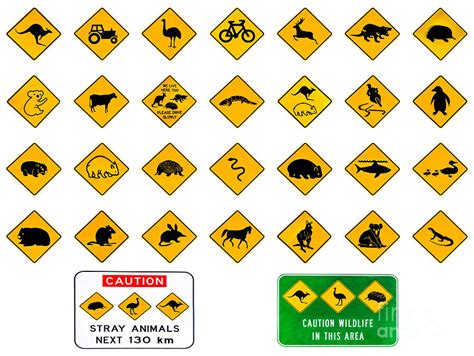 Australian Warning Signs Photograph By Benny Marty