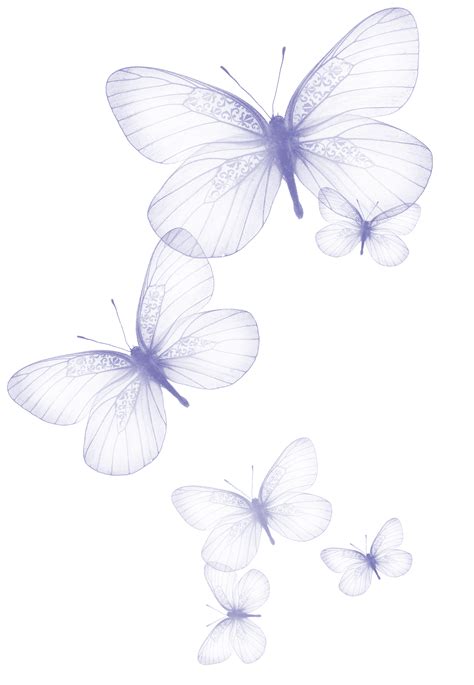 Butterfly Clip Art Transparent Butterfly Png Clipart Picture Png