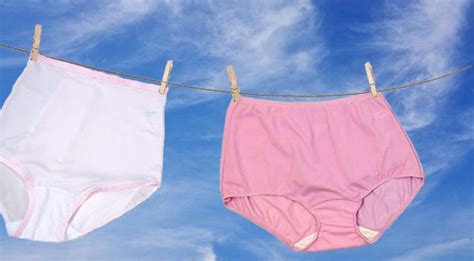 In Praise Of The Granny Panty ~ Shadowline Lingerie Briefs ~ By Ellen