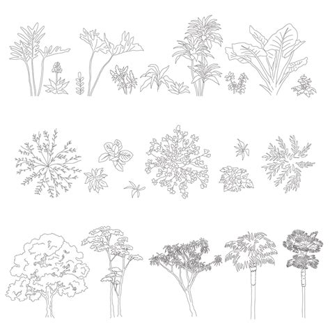 Vector And Cad Trees And Plants Free Download Studio Alternativi