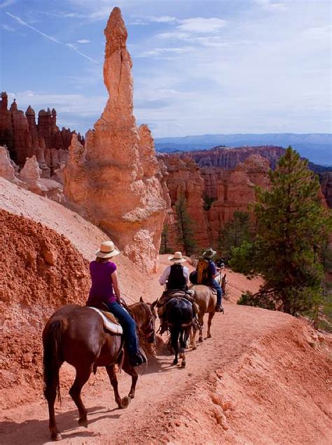 Bryce Canyon Horseback Riding Bryce Canyon Horseback Tours