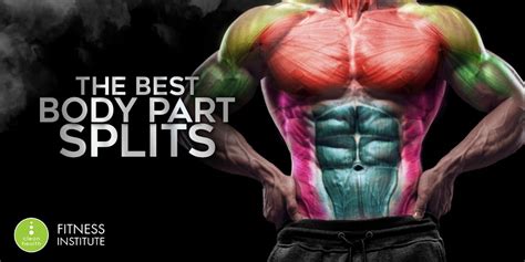 The Best Body Part Splits Clean Health Fitness Institute