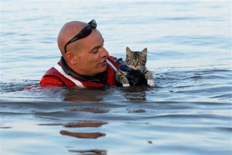 A Kitten Rescued From The Waterafter A Flood Pets Animal Rescue