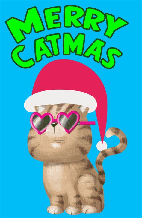 Merry Christmas Cat Swag Look 