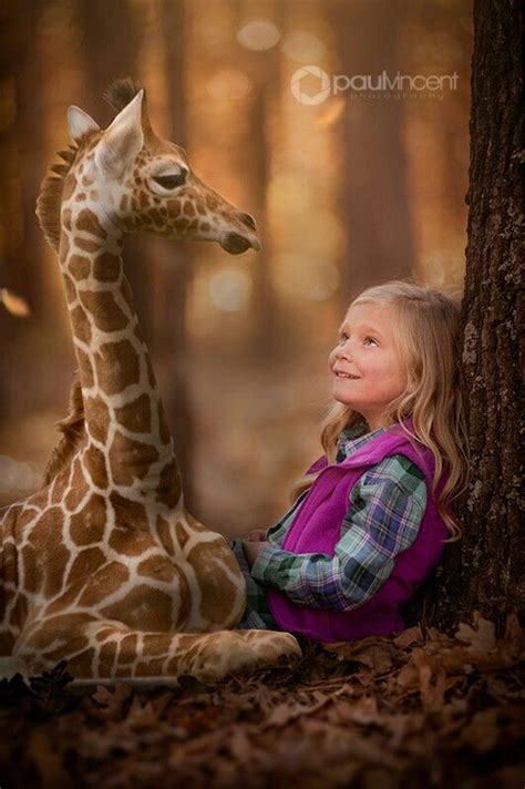 Baby Giraffe With Little Girl Giraffe Baby Giraffe Little Girls