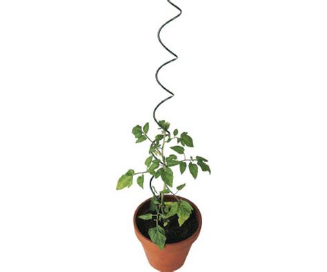 Gardman R722 72 In Tomato Spiral Plant Support At Sutherlands