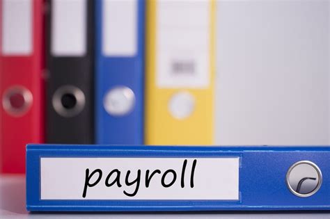Payroll Specialist Cost Auditors