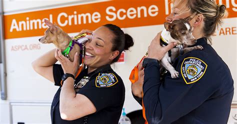 Aspca And Nypd Celebrate Five Years Of Fighting Animal Abuse And