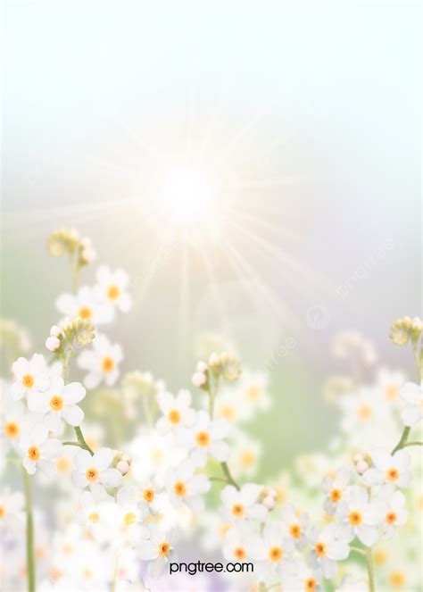 Flower Creative Realistic Blur Background Wallpaper Image For Free