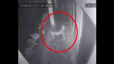 Shocking Cctv Ghost Footage Real Ghost Caught On Cctv