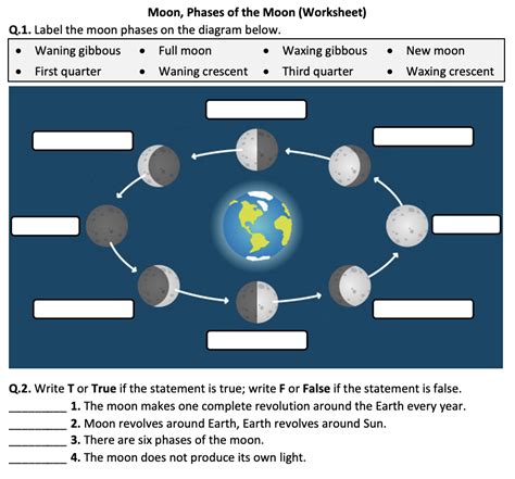 Moon Phases Of The Moon Worksheet Printable And Distance Learning