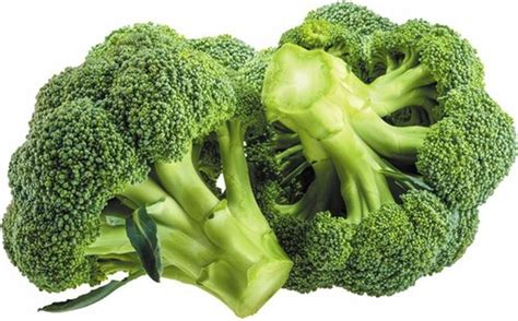 Broccoli Green A Grade Brocolli Packaging Size 1kg At Rs 65kg In Mumbai
