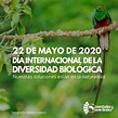¿Sabías que existe el Día Internacional de la Diversidad Biológica ...