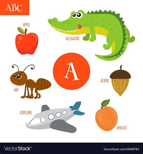 Letter A Cartoon Alphabet For Children Alligator Vector Image On