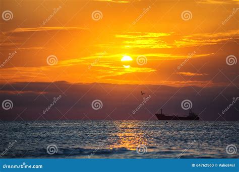 Scenic Sunrise Over The Sea Flying Birds And Sailing Cargo Ship Stock