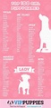 +11 Cute Female Dog Names List References - Find More Fun
