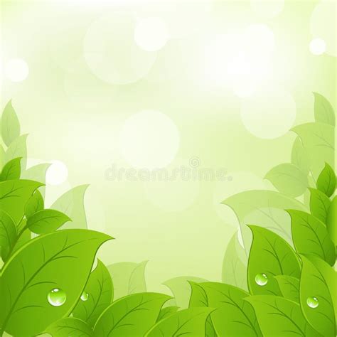 Fresh And Green Leaves Stock Vector Illustration Of Background 195653520