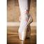 Battement Tendu In Ballet  Dancers Forum