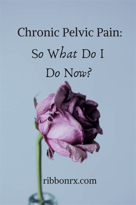 Chronic Pelvic Pain So What Do I Do Now ⋆ Ribbonrx
