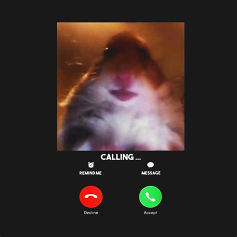Dank Meme Hamster Staring Front Camera T Shirt Calling Dank Meme