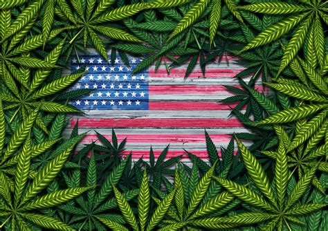 It permits users to trade bonds and stocks on global markets. 3 Biggest Marijuana Stocks in the U.S. Cannabis Market ...