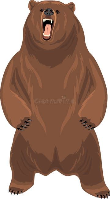 Standing Grizzly Bear Stock Illustrations 2234 Standing Grizzly Bear