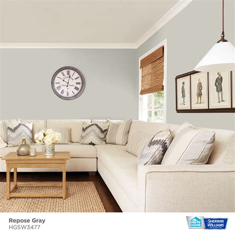 Repose Gray Paint Living Room Baci Living Room