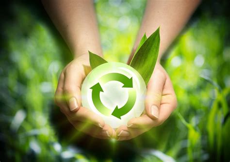 Turn Your Home Green 6 Ways To Become More Environmentally Friendly