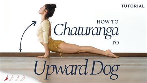 How To Chaturanga To Upward Dog Meghan Currie Yoga Online Studio