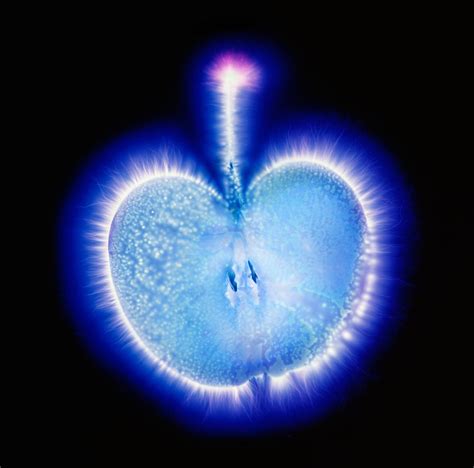 Kirlian Photography The Blaze Of The Force — Dop