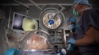 Mayo Clinic's transplant center in Florida reaches 800th lung ...