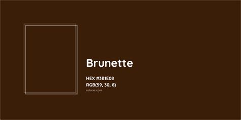 About Brunette Color Meaning Codes Similar Colors And Paints