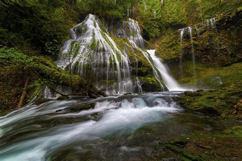 Panther Creek Falls Photograph By David Gn