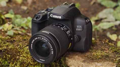 We did not find results for: Best beginner DSLR cameras 2021: the 11 finest choices for ...