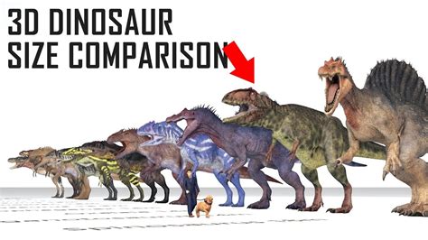 Dinosaur Size And Weight Comparison Theropods Youtube