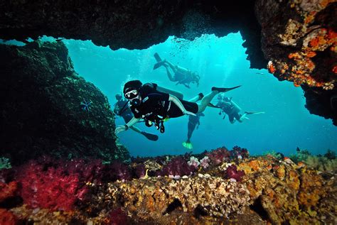 Go Dive Lanta Scuba Diving On Koh Lanta Island Krabi Thailand