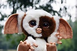 Baby Mogwai Gizmo | Etsy | Animales fantasticos, Animales pequeños ...