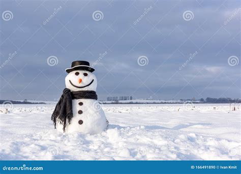 Funny Snowman In Black Hat Stock Photo Image Of Decoration 166491890