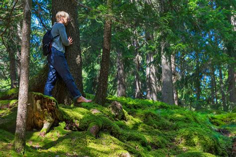 Shinrin Yoku Exploring The New Japanese Trend For ‘forest Bathing