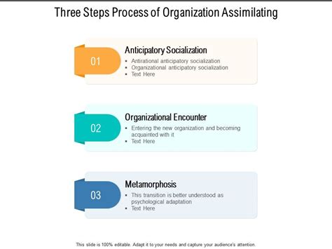 Three Steps Process Of Organization Assimilating Powerpoint Slide