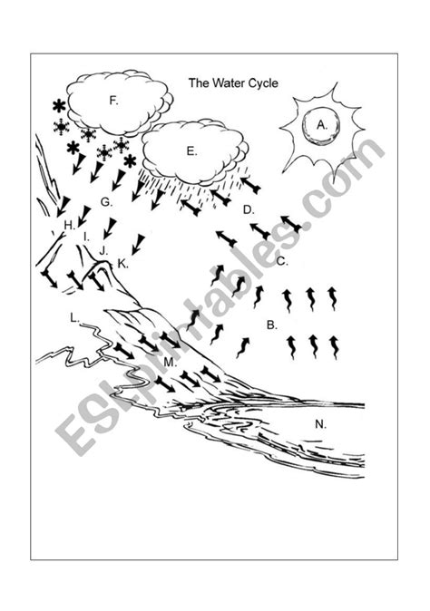 Diagram The Water Cycle Diagram To Label Mydiagramonline