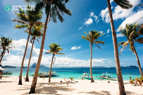 El Nido Palawan Philippines Sandy Beach With Palm Tre Vrogue Co