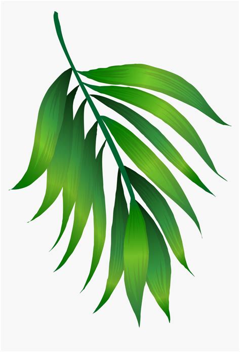 Green Leaves Clip Art Png