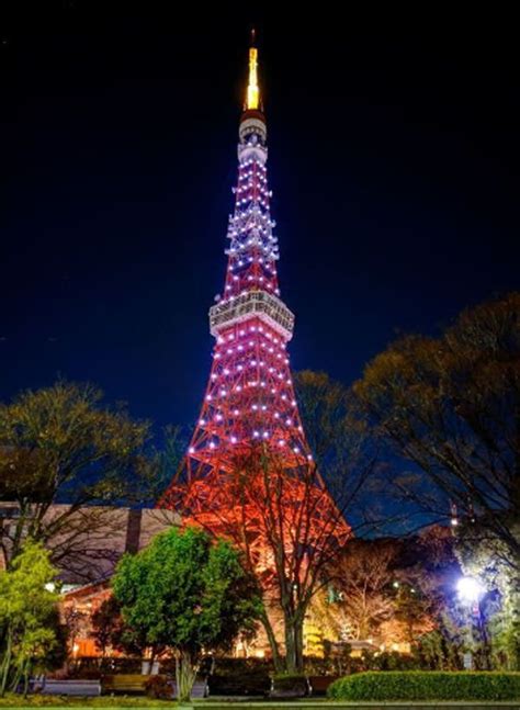 Top 10 Things To Do And See In Tokyo In 2019 Tokyo Tower Tokyo Japan