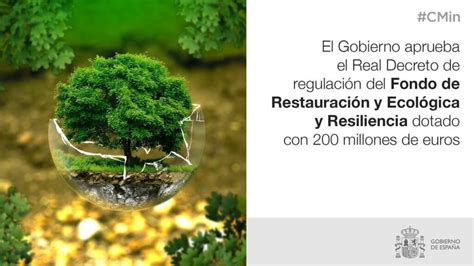 ¿qué Es La Restauracion Ecologica Ejemplos Actualizado Marzo 2024